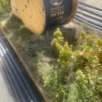 استخدام مهندس برق