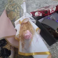 پک ویژه روز مرد|کیف، کفش، کمربند|فردیس, شهرک شهید حسینی|دیوار