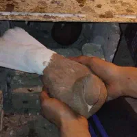 کبوتردم سفیدآس ویه سگ نگهبان|پرنده|مشهد, کوشک مهدی|دیوار