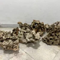 سنگ طبیعی آکواریوم