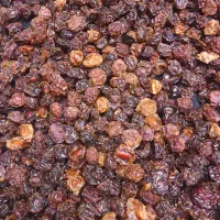 برگه|خوردنی و آشامیدنی|سبزوار, هفت تیر|دیوار