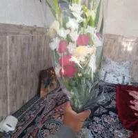 گل رزبارنگهامختلف باتازینات کامل|گل مصنوعی|بهبهان, |دیوار