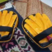 دستکش پد ضربه تکواندو انگشتی مفت