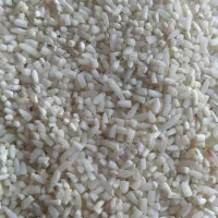 نیم دانه طارم