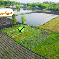 زمین ساحلی نزدیک بافت با آینده‌ای درخشان و ویژه|فروش زمین و ملک کلنگی|چاف و چمخاله, |دیوار