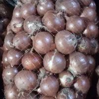 پیاز درجه 1|خوردنی و آشامیدنی|زنجانرود, |دیوار