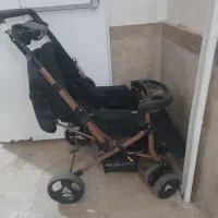 کالسکه دلیجان درحد نو