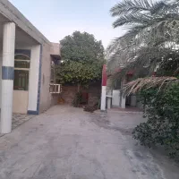 خانه مبله در چاهتلخ شمالی|اجارهٔ کوتاهمدت آپارتمان و سوئیت|دلوار, |دیوار