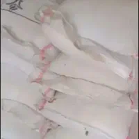 کودسفیداوره سفید