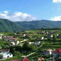 فروش-فوری-زمین-بی-نظیر-کوهستان-وجنگل-دربام-لاویج