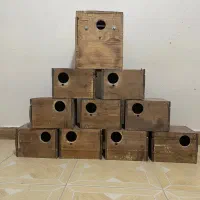 لانه و قفس پرنده