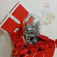 عروسک باکس روز دختر  دستبند کد مورس