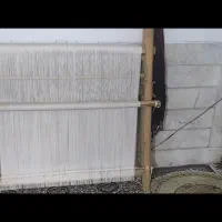 دار قالی وچله 7صدتایی