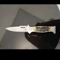 معاوضه نرگسی گلبسر  سهره  قناری  قلیون مرغ عشق