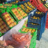 گوجه  ربی گوجه شیراز|عمدهفروشی|بیرجند, |دیوار