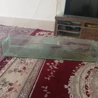 آکواریوم و کشتی