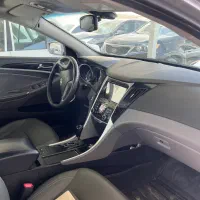 سوناتا ۲۰۱۳|خودرو سواری و وانت|اصفهان, باغ دریاچه|دیوار