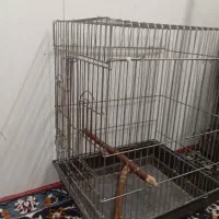 قفس پرنده|لوازم جانبی حیوانات|نی‌ریز, |دیوار