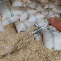 روستای حاجیه|حراج|سوسنگرد, |دیوار