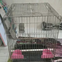 فروش قفس