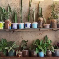 حراجی|حراج|سرپل ذهاب, |دیوار