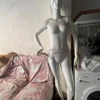 دو عدد مانکن سالم به علت تغییر شغل|فروشگاه و مغازه|آمل, |دیوار