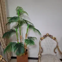 کنتیا|گل مصنوعی|کرج, حصارک پایین|دیوار