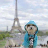 عکاسی حرفه‌ای با ایده‌های منحصر به فرد