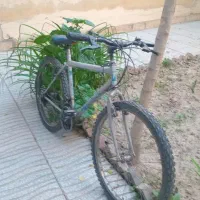 فروش دوچرخه