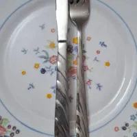 کارد و چنگال تمام استیل