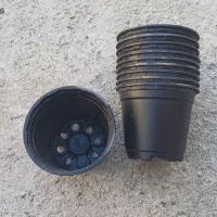 گلدان ژله ای