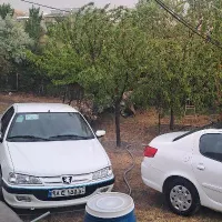 پژو پارس ۲۰روزه گمشده یابنده شیرینی دریافت میکند