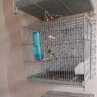 سهره های انتیک