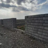 زمین