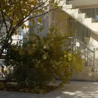 اجاره ویلایی ۲۰۰ متری - مرکز شهر خیابان اندرزگو