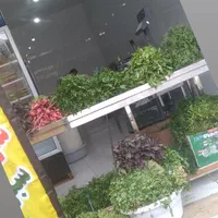 سبزی خام و سرخ شده و خوردن درجه یک