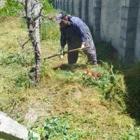 نیرو جهت کار در باغ