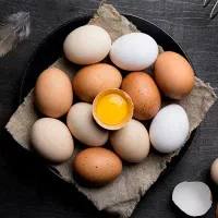 تخممرغ عمده منطقه ۱۰|عمدهفروشی|تهران, سلسبیل شمالی|دیوار