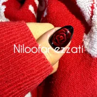 مدل ناخن + پایه برای کلیپ‌های فان|خدمات آرایشگری و زیبایی|تهران, فلسطین (میدان انقلاب)|دیوار