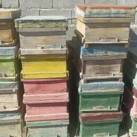 کندوی خالی زنبور عسل