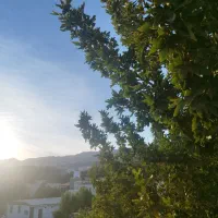 اجاره-واحد-60متری