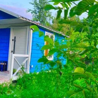 کلبه-من-و-تو