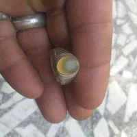 انگشتر نقره