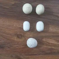 معاوضه سنگ الماس آسیاب