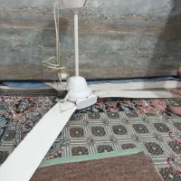 پنکه سقفی رامکو|پنکه و تصفیه‌کنندهٔ هوا|ارومیه, |دیوار