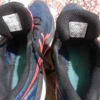 کفش|کیف، کفش، کمربند|اردبیل, |دیوار