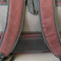 کیف حمل سگ و گربه دنیل|لوازم جانبی حیوانات|شاهین‌شهر, خبرنگار|دیوار