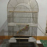 قفس بزرگ و مجهز