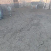 الاغ با کره ماده گله گی