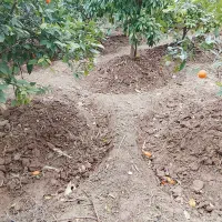 حفاری چاه|خدمات پیشه و مهارت|دزفول, |دیوار